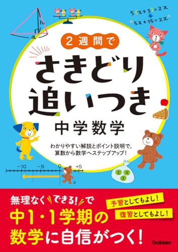 2週間でさきどり追いつき 中学数学