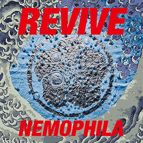 REVIVE (初回限定盤)