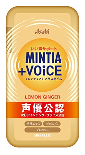 アサヒグループ食品 ミンティア プラスボイス レモンジンジャー 30粒×8個