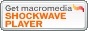 Get Macromedia Shockwave Player