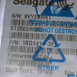Seagate ST250DM000