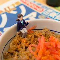 和風牛丼とおもてなしのフチ子 2