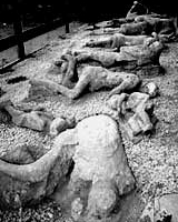 オレと秋華賞と地震