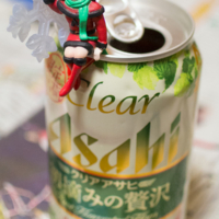 阪神ジュベナイルフィリーズ – 2016年12月11日(日)