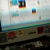 阪神ジュベナイルＦ – 2010年12月12日(日)