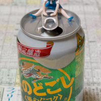 金杯 – 2015年1月4日(日)