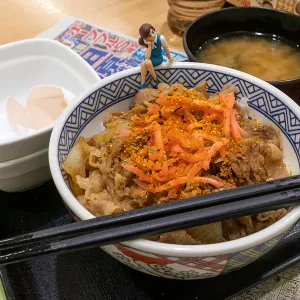 ホープフルステークス – 2024年12月28日(土)