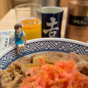 金杯 – 2016年1月5日(火)