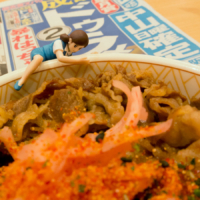 皐月賞 – 2015年4月19日(日)