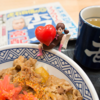 フェブラリーＳ – 2016年2月21日(日)