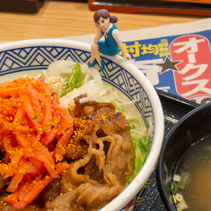 オークス – 2020年5月24日(日)