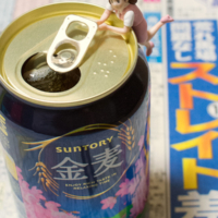 高松宮記念 – 2015年3月29日(日)