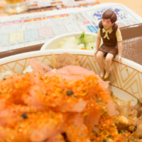 エリザベス女王杯 – 2015年11月15日(日)