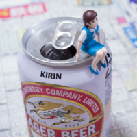 天皇賞（春） – 2015年5月3日(日)