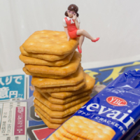 チャンピオンズカップ – 2018年12月2日(日)