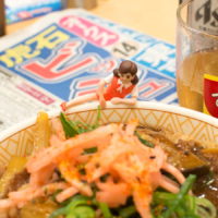 オークス – 2016年5月22日(日)