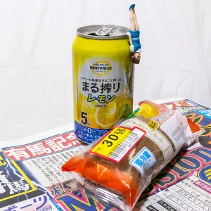 有馬記念 – 2025年12月28日(日)