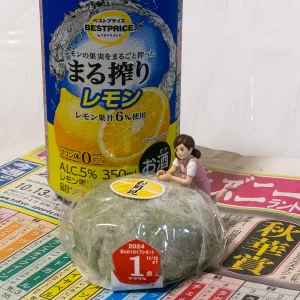 秋華賞 – 2024年10月13日(日)