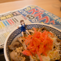 宝塚記念 – 2016年6月26日(日)