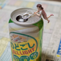 フェブラリーS – 2015年2月22日(日)