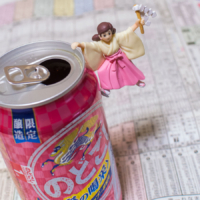 大阪杯 – 2017年4月2日(日)