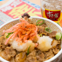 金杯 – 2019年1月5日(土)