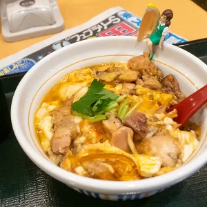 フェブラリーステークス – 2023年2月19日(日)