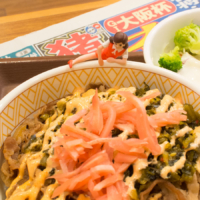 大阪杯 – 2020年4月5日(日)