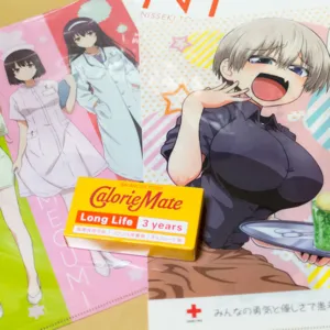 オレと献血と宇崎ちゃんのクリアファイル