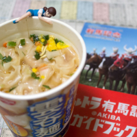 有馬記念 – 2014年12月28日(日)