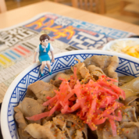 桜花賞 – 2016年4月10日(日)